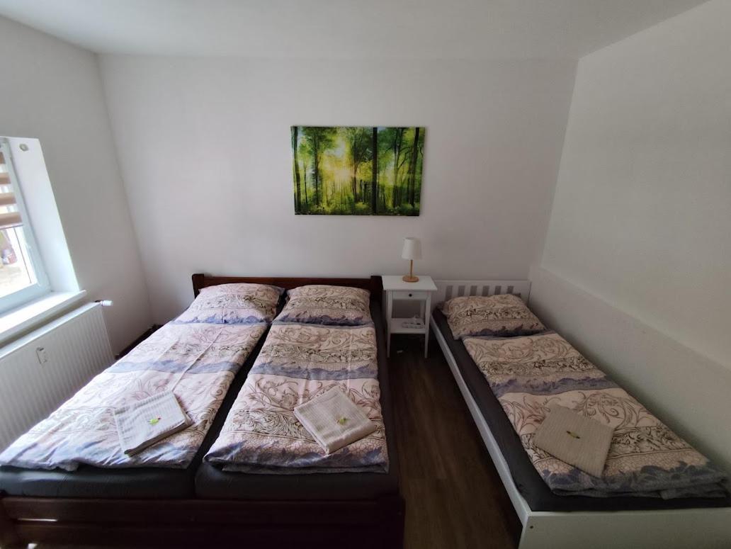 Apartman Terezka Jílové Exterior foto