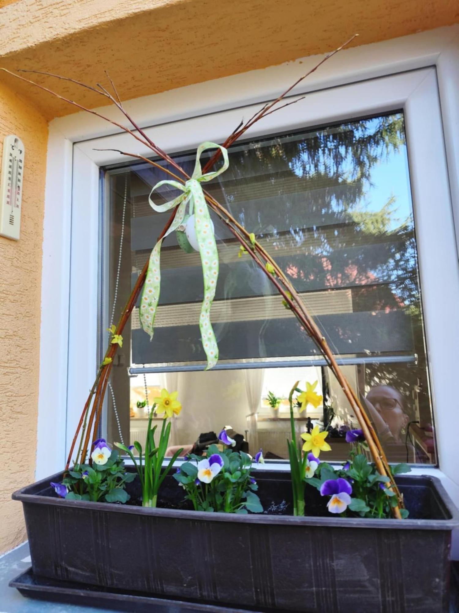 Apartman Terezka Jílové Exterior foto